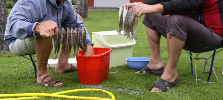 Viron kalataloussektorin yritykset saavat lainaa