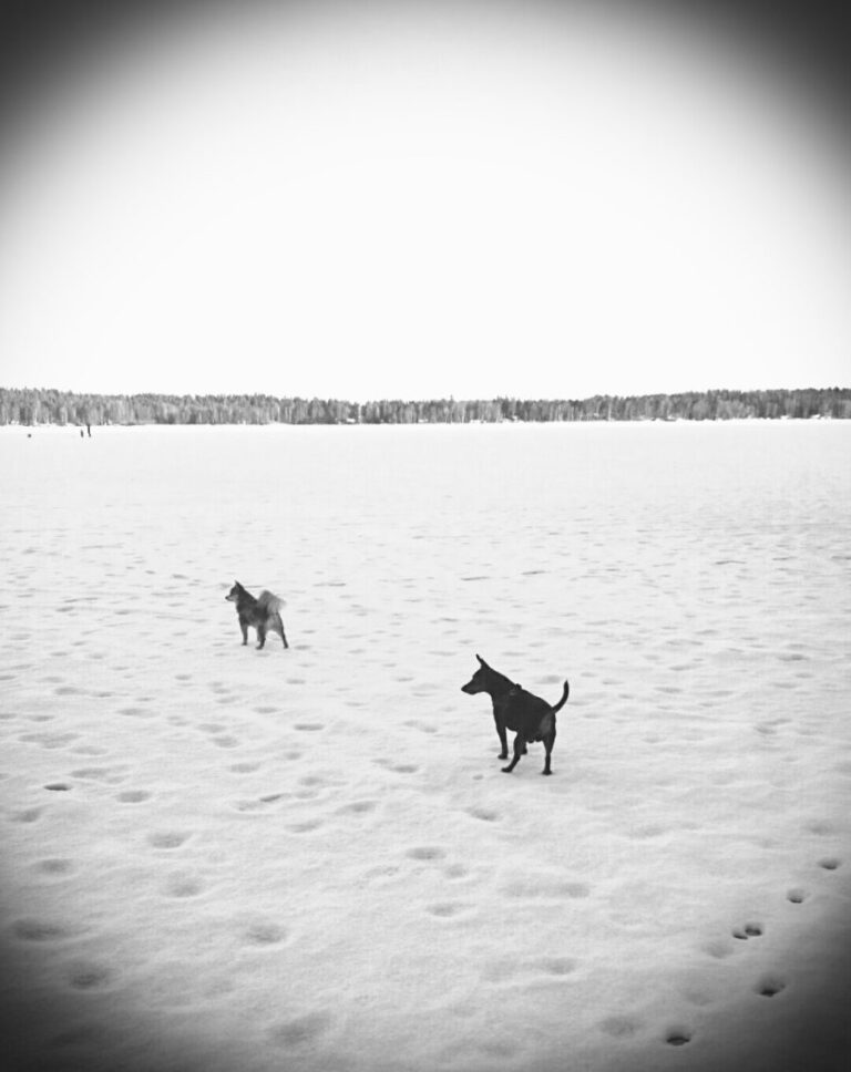 Pia Sarkkinen: Kehonhuoltoa ja hierontaa, piristystä päivään