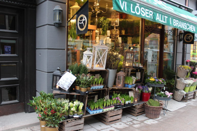 Hyvä uutinen! Maailman terveysjärjestön ilmanpuhtaustutkimuksessa Viro, Suomi ja Ruotsi 10 ensimmäisen joukossa!