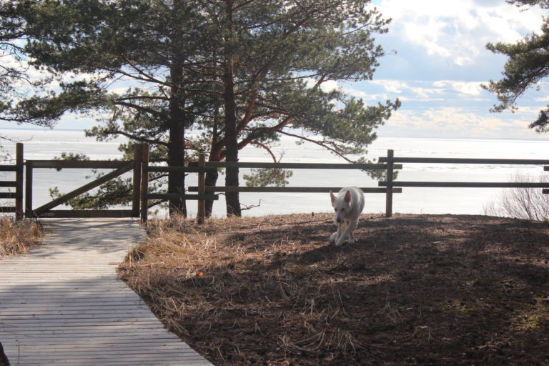 Kotoinen kokous Peipsijärvellä