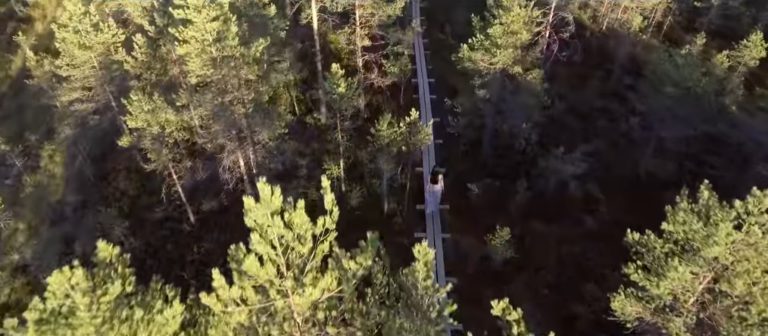 Viron tasavalta 100 -juhlakausi alkoi suurella vaelluspäivällä