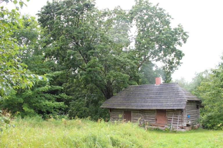 Helena-Reet: Köyhät ihmiset ovat katkeroituneita, kateellisia ja pahantahtoisia