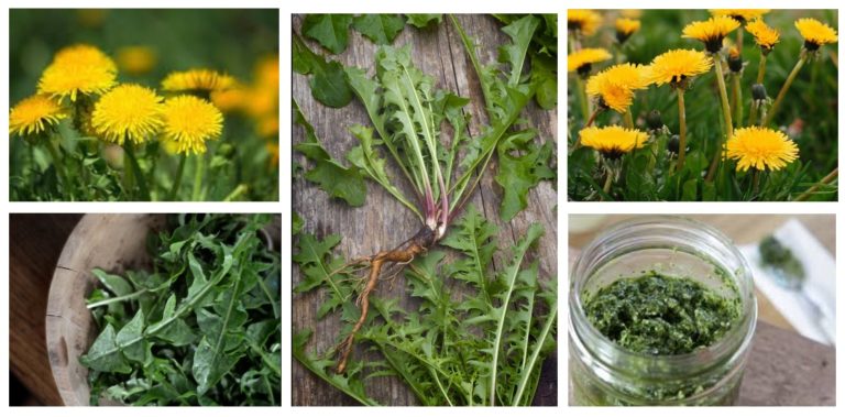 VOIKUKAN hoitavat ominaisuudet – apu sataan vaivaan!