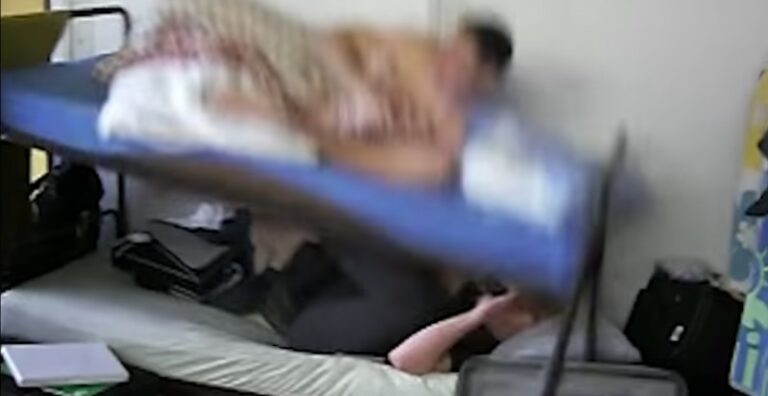 Välitön karma – KATSO, mitä tapahtuu ihmisille (ja eläimille), jotka yrittävät pettää tai tehdä muille vääryyttä