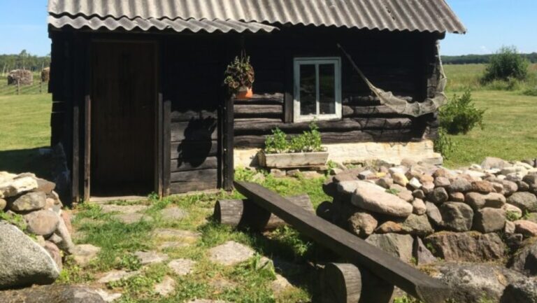 Avointen maatilojen päivä 2020 saavutti KÄVIJÄENNÄTYKSEN – avoinna oli 281 maatilaa, joilla kävi yhteensä yli 213.000 henkeä