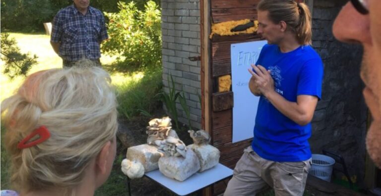 Männan tilalla Läänemaan maakunnassa toimiva Viron sienifarmi esitteli Avointen maatilojen päivänä osterivinokkaiden viljelyä + KUVAGALLERIA!