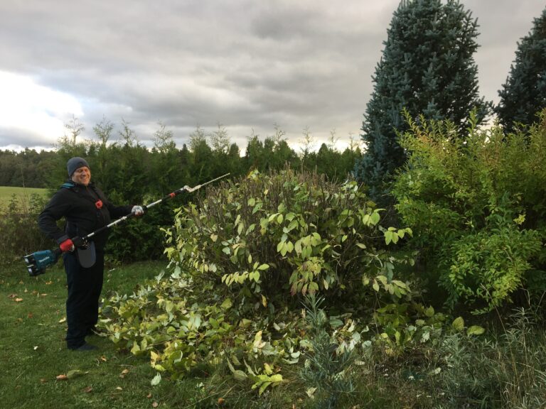 Helena-Reet: Mitä se oli, mitä minulle tapahtui?