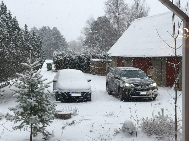 Helena-Reet: Tämän päivän blogissa – Ihana elämä maalla, operetti ”Iloinen leski” Viron kansallisoopperassa, Paintball, Kahdet synttärit ja Piparkakkukausi!