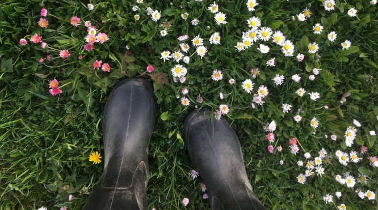 Helena-Reet: Ivankan 14-vuotissynttärit, Rakkaudenpäivä, Ardon synttärit ja PALJON PUUTARHAJUTTUA ja KUVIA!