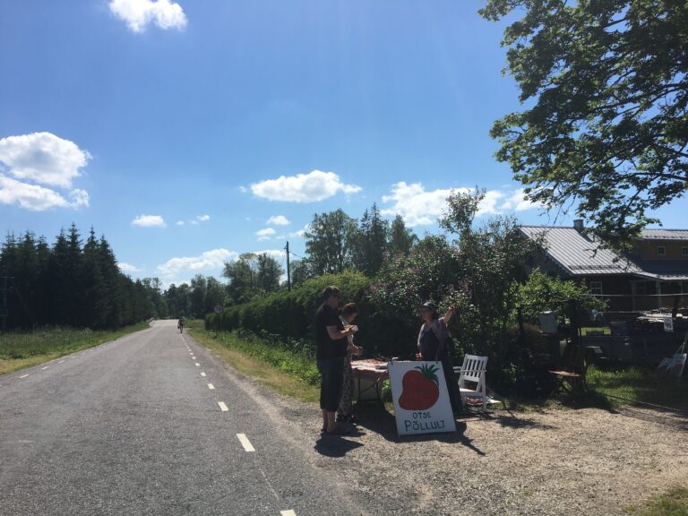 Helena-Reet: Tartossa, Saadjärvellä, Räpinassa ja Viljandissa