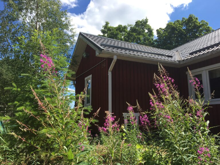 Helena-Reet: Yllätys Allanilta, tämän hetken suosikkiosakkeeni, koti energiatehokkaammaksi ja heinäkuu puutarhassa!