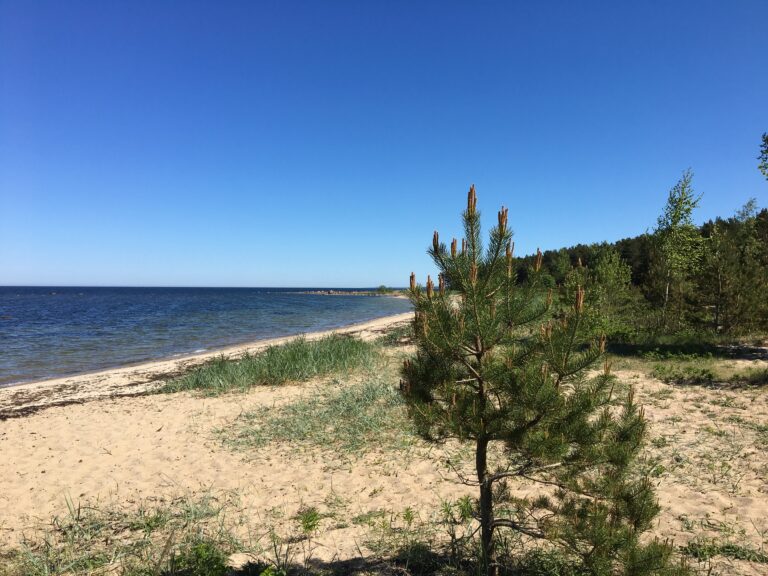 Viron vesille hakevat tuulipuistojen rakennuslupaa sekä virolaiset että ulkomaiset yritykset