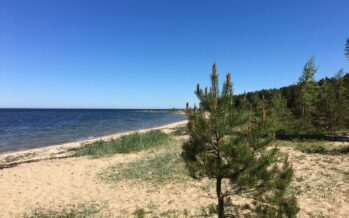 Viron vesille hakevat tuulipuistojen rakennuslupaa sekä virolaiset että ulkomaiset yritykset