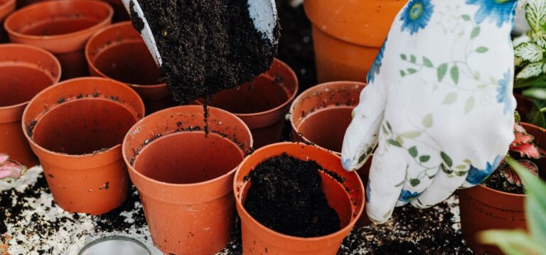 TUTKIMUS: ONNELLISIN on keski-ikäinen maalla asuva nainen