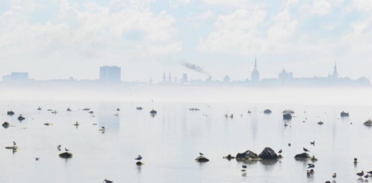 HAE RAHOITUSTA Viron, Suomen, Ruotsin ja Latvian yhteistyöprojekteihin