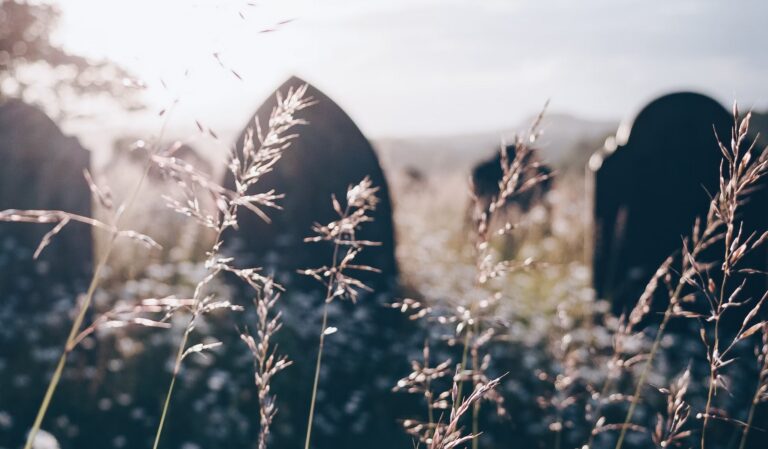 TIETEELLINEN TUTKIMUS: Voimmeko kommunikoida kuolleiden kanssa?