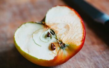 Selvitämme: VAHINGOITTAAKO omenansiementen sisältämä aine terveyttäsi vai ei?