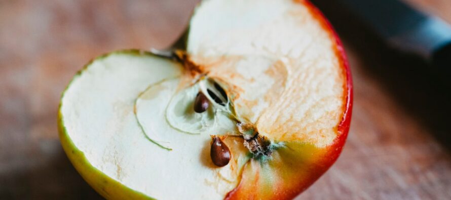 Selvitämme: VAHINGOITTAAKO omenansiementen sisältämä aine terveyttäsi vai ei?