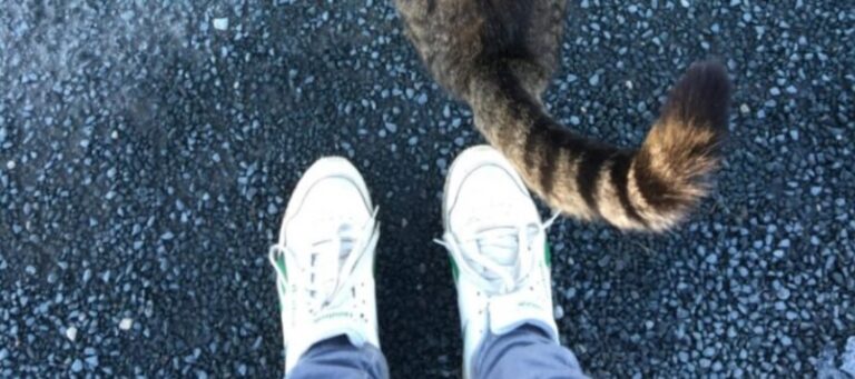 Helena-Reet: Lauantai + Lakkahillolla täytettyjen mehukkaiden kanelipullien resepti!