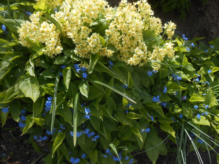 Tuija Järvinen: HELSINKIPÄIVÄNI MUSIIKKISTUDIOLLA