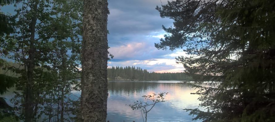 Tuija Järvinen: Luonto antaa minulle voimaa!