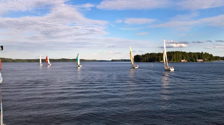 Tuija Järvinen: Kesästä nauttimista!