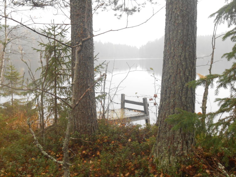 Tuija Järvinen: Kaupunki- ja maalaiselämää käsi kädessä